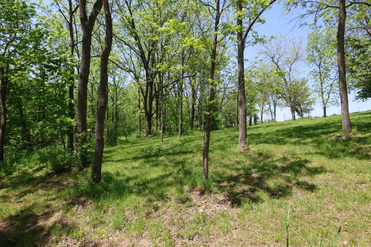 Riverfront Farmette! 25+acres allows horses - photo 28