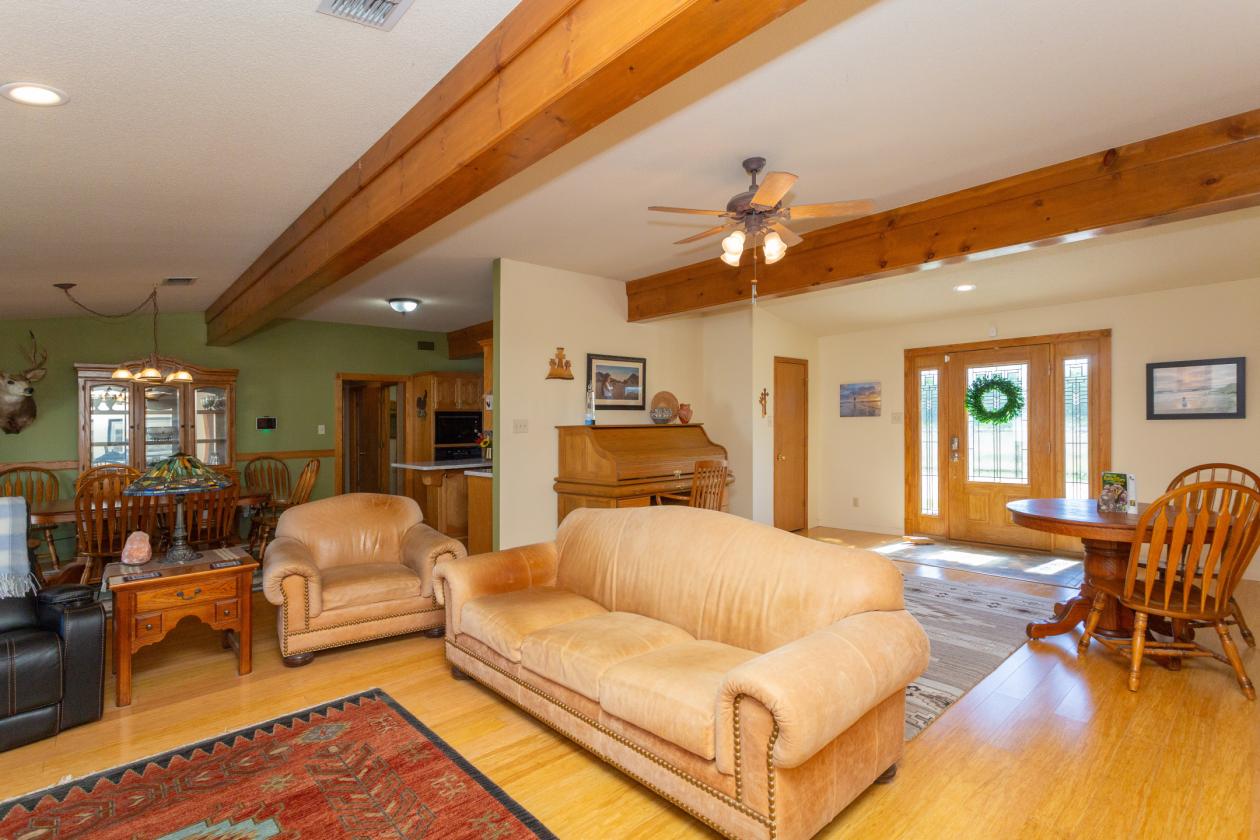 Equine enthusiasts dream property! - photo 13