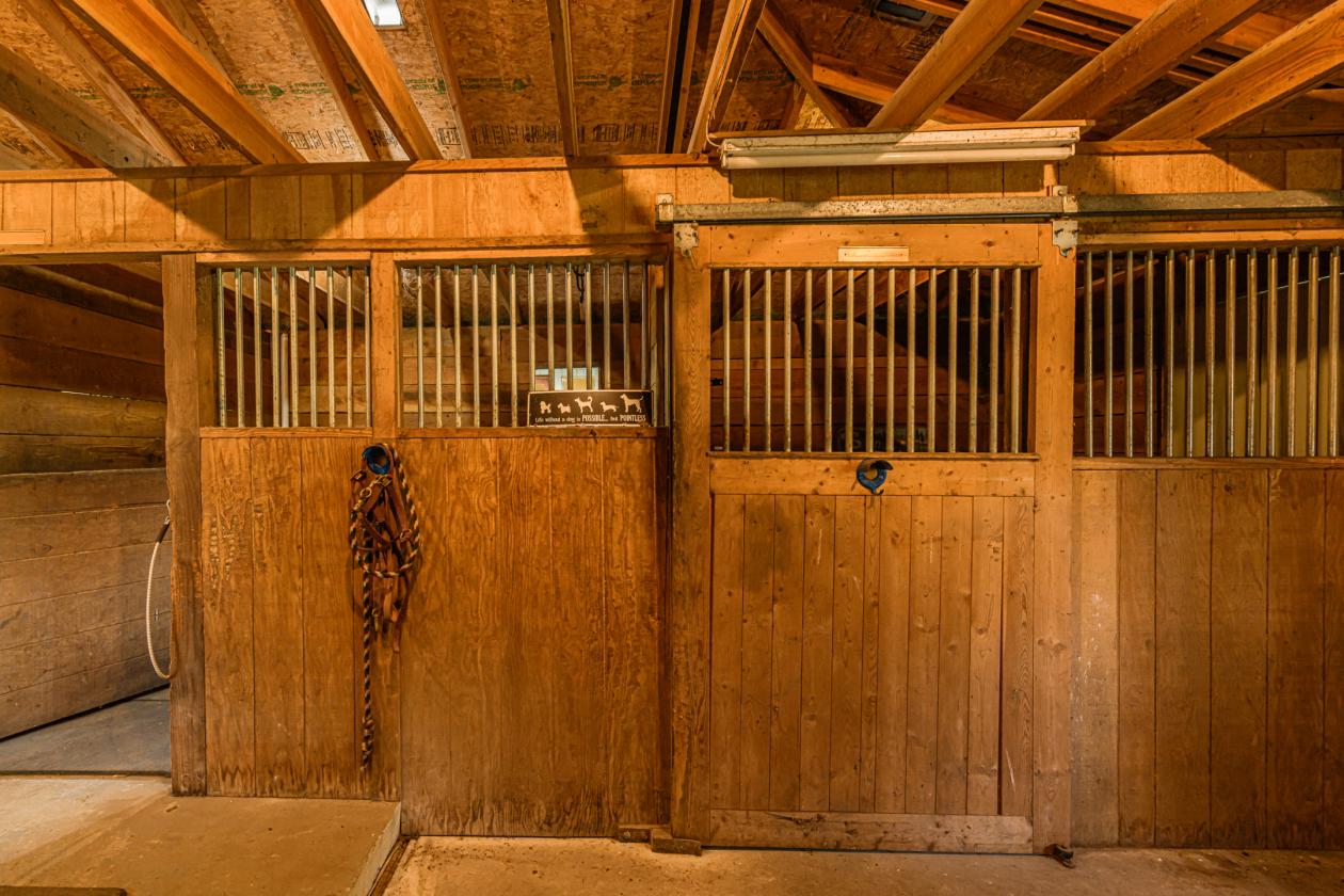 Salt Spring Island Hobby Farm Perfect for Horses!! - photo 11
