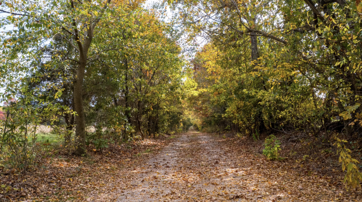 Stunning 313± Acre Double D Ranch - photo 20