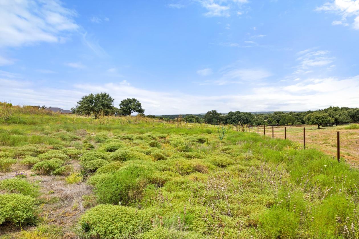 Palomino Ranch - photo 10