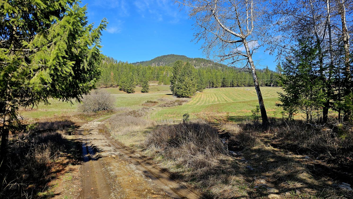 Gorgeous 63 Acres - photo 10