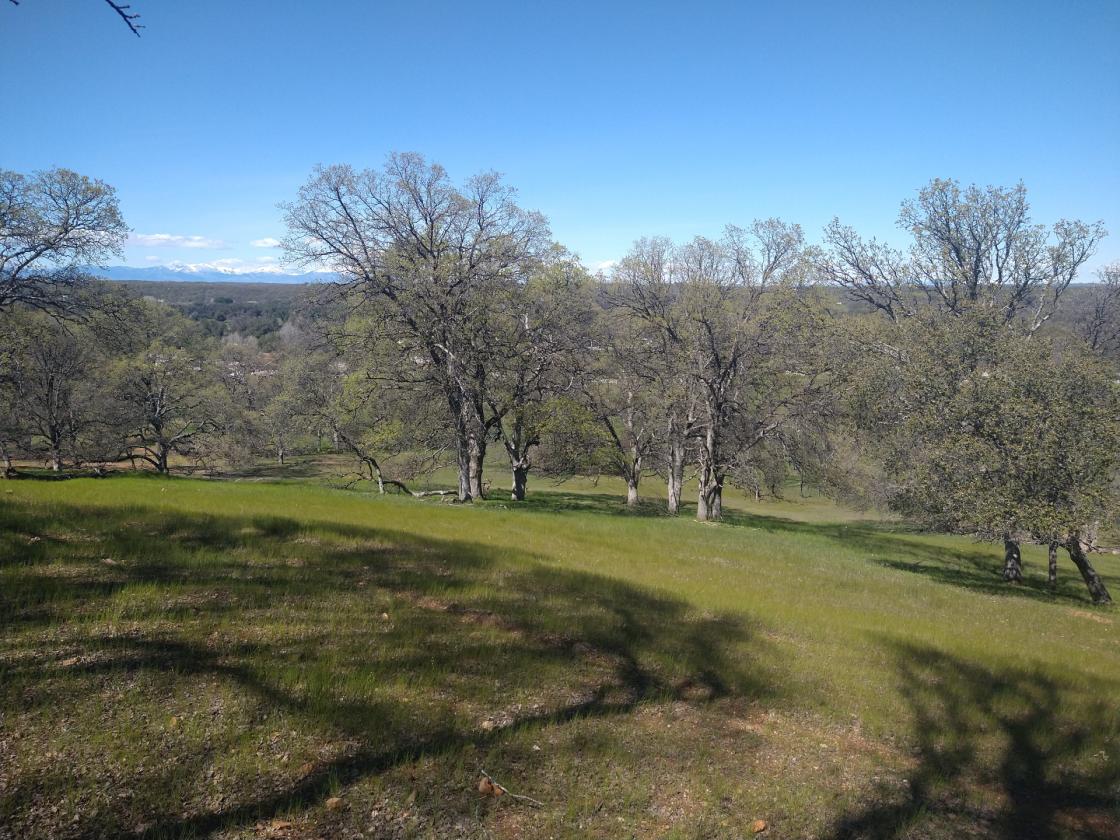 Utilities, Barn, and Mountain Views! - photo 20