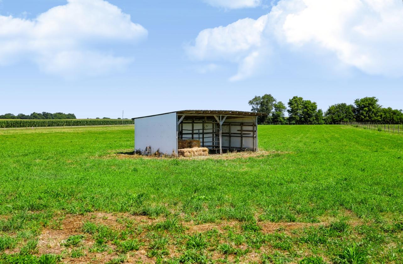 Ideal Equestrian training & boarding facility - photo 28