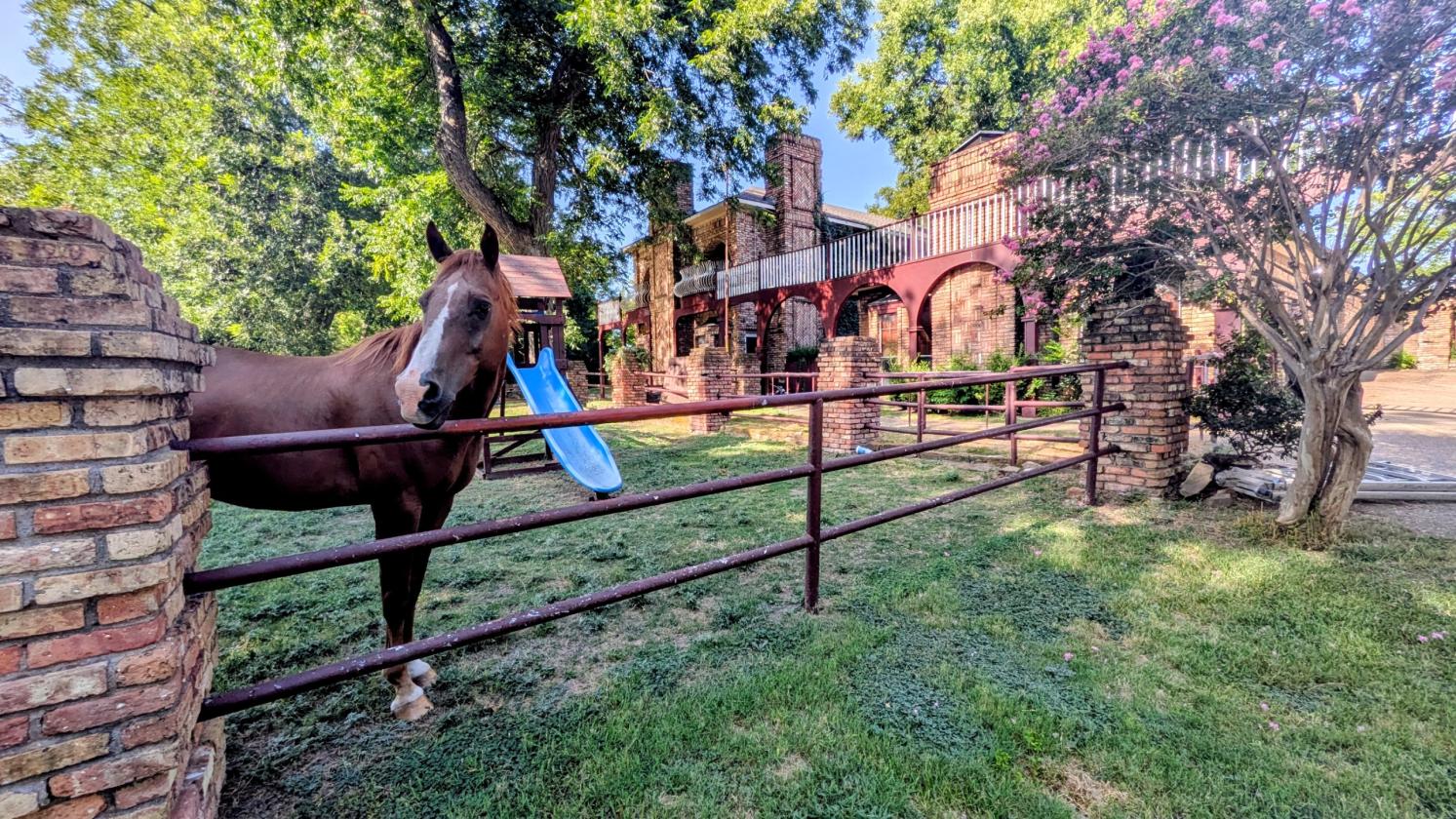 Equestrian Equestrian on 9.7 Acres - photo 13