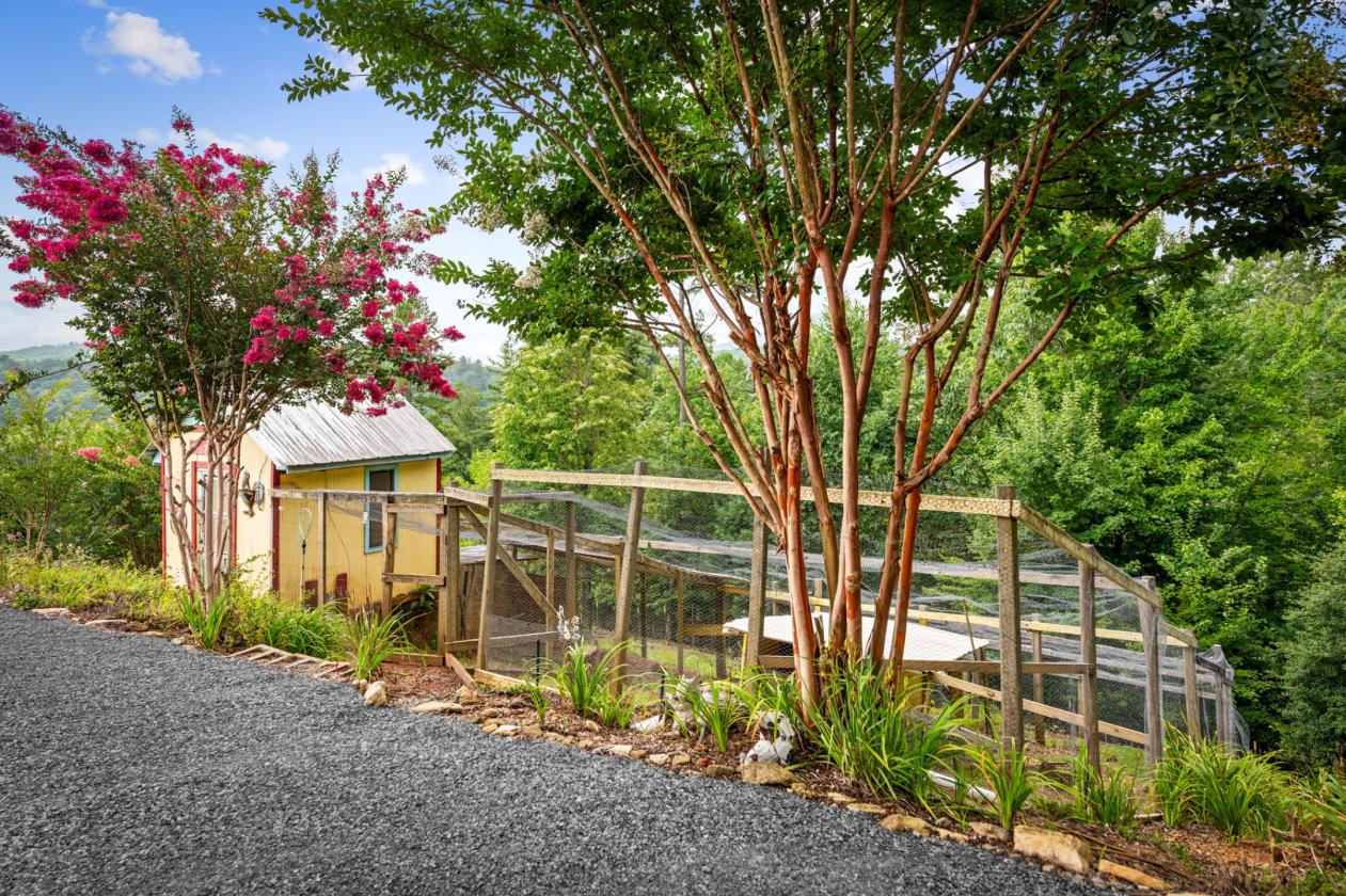 Blue Ridge Equestrian Retreat - photo 6