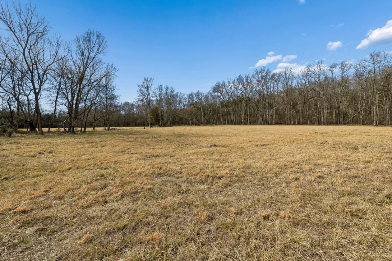 175 Gorgeous Acres - photo 30