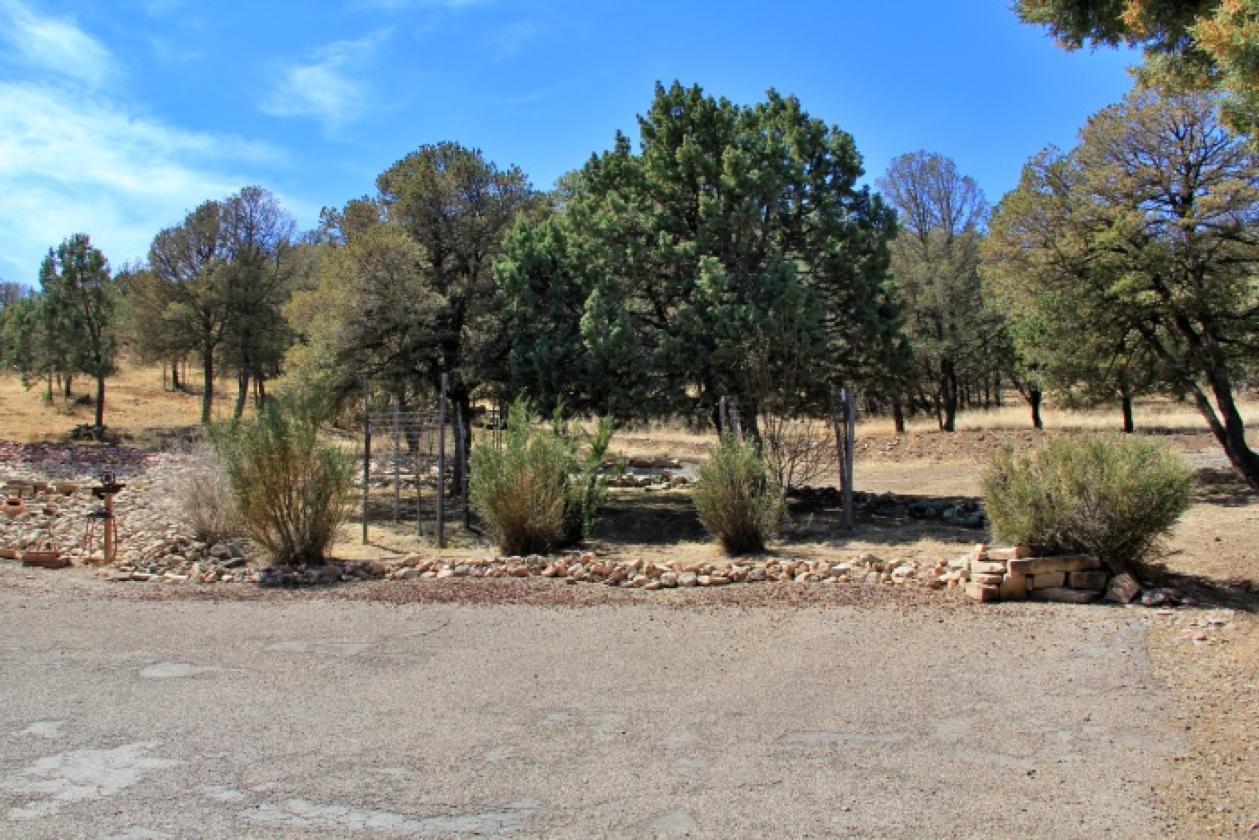 Luxury equestrian property - photo 3