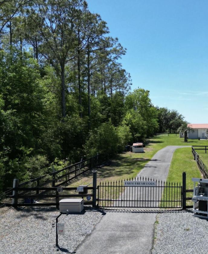 Miniature horse farm on rolling Hills - photo 18