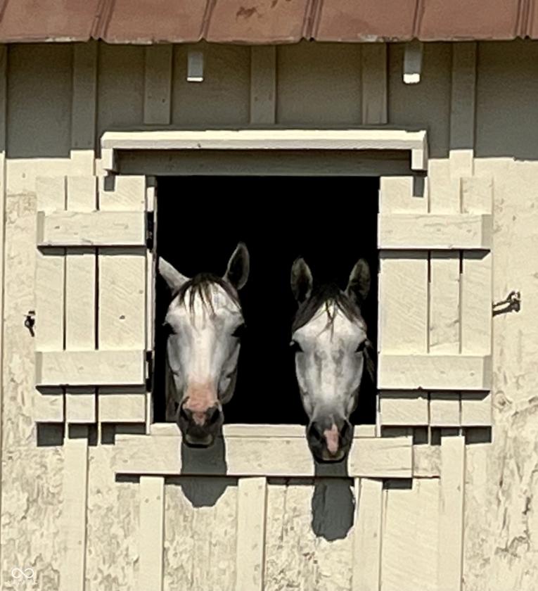 Equestrian property 85 acres SW of Indy - photo 11