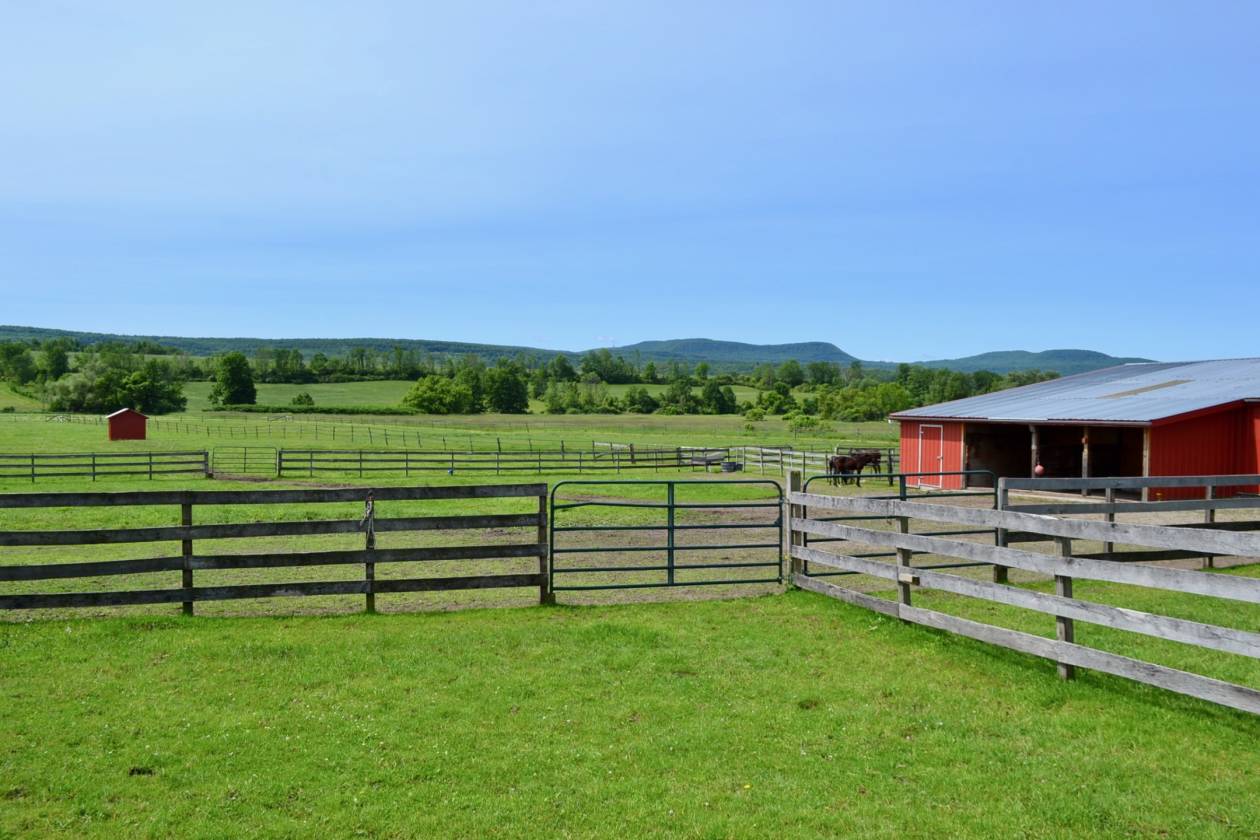 STUNNING HORSE FARM & FARM HOUSE WITH A VIEW... Canajoharie