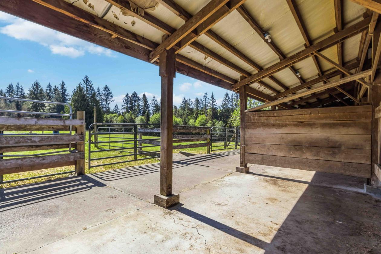 15 Beautiful Equestrian Acres backing Timberland - photo 11