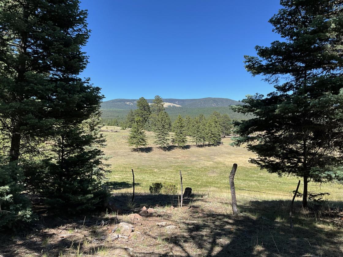Horse Property Bordering Carson National Forest - photo 29