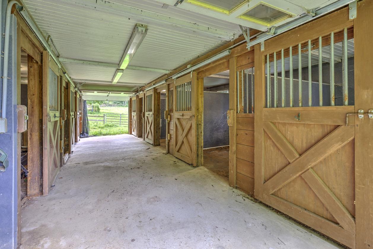 Bring your horses home..... - photo 3