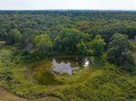 Beautiful 177 +/- acres - photo 5