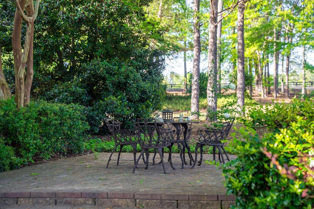 Exceptional Equestrian Living in Mt Vintage - photo 9