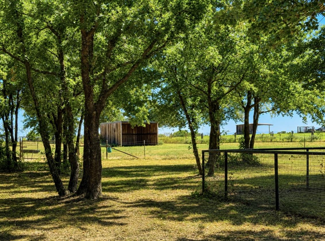 10 Acre Horse Property w/  Barndominium style home - photo 3