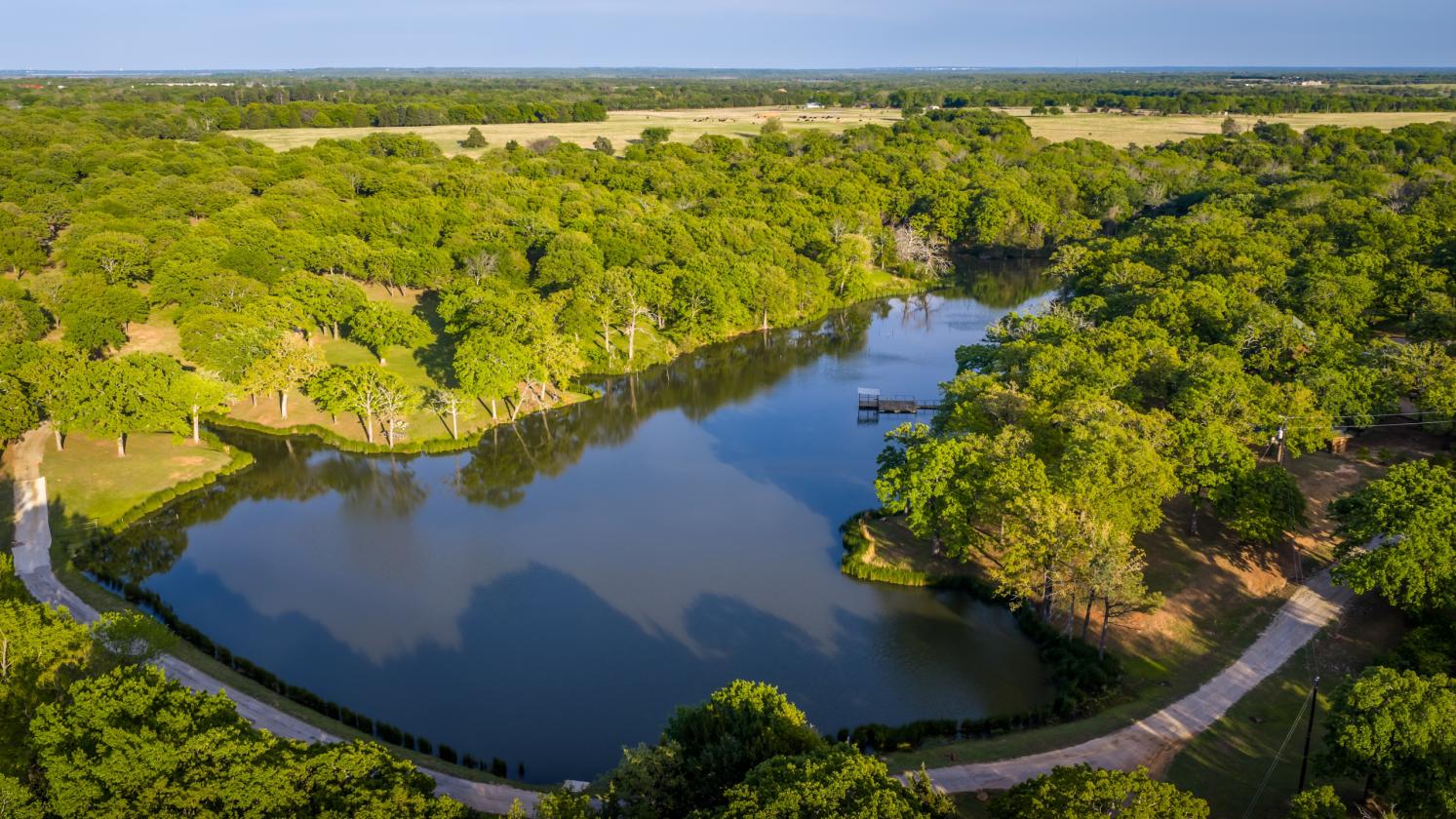 Spirit Ranch - Luxury NTX Equestrian Estate - photo 21