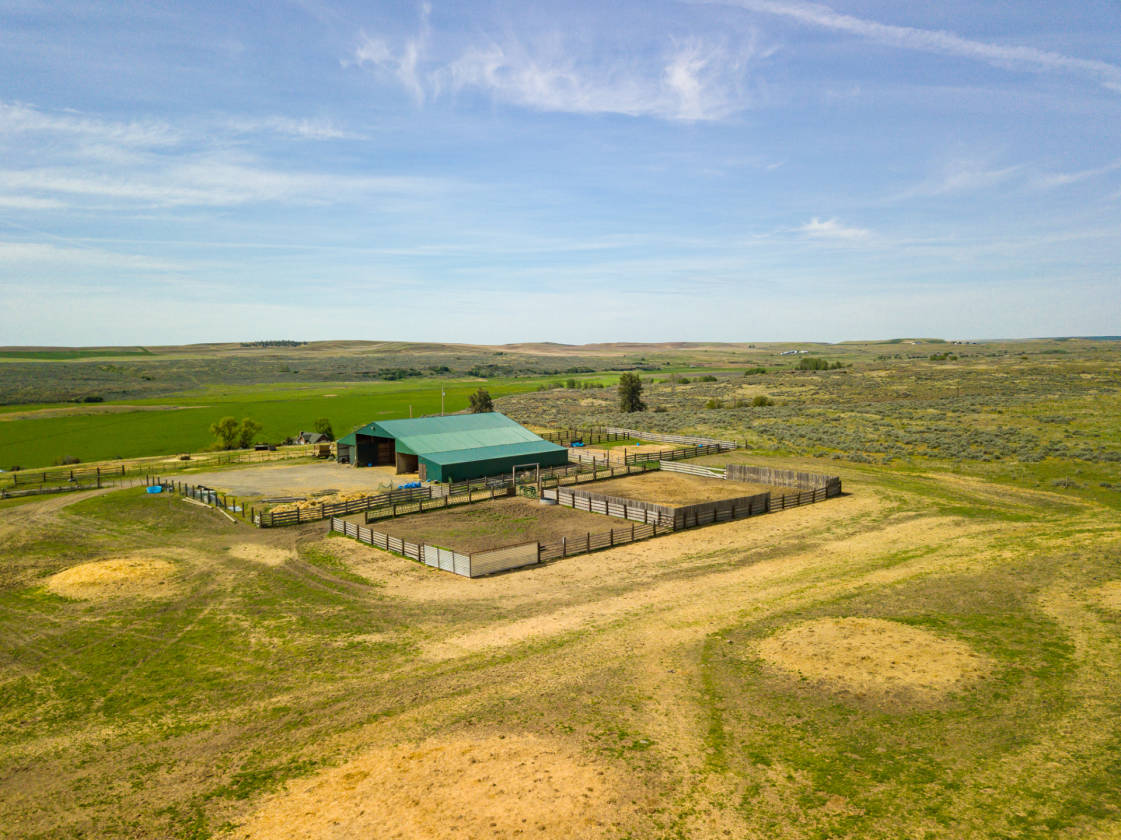 to Rock Creek Ranch! Ready for your dream home... Edwall, Lincoln County, Washington