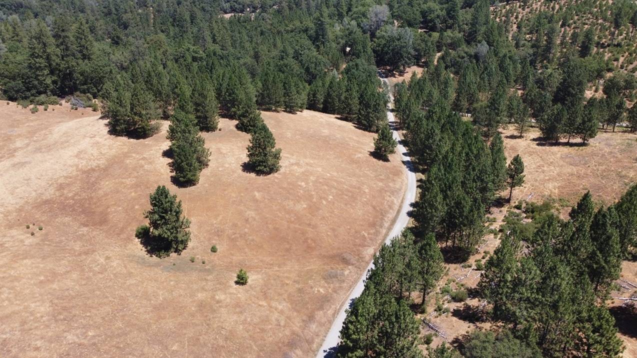 Beautiful Rolling 165 Acres, 100GPM Well too! - photo 15
