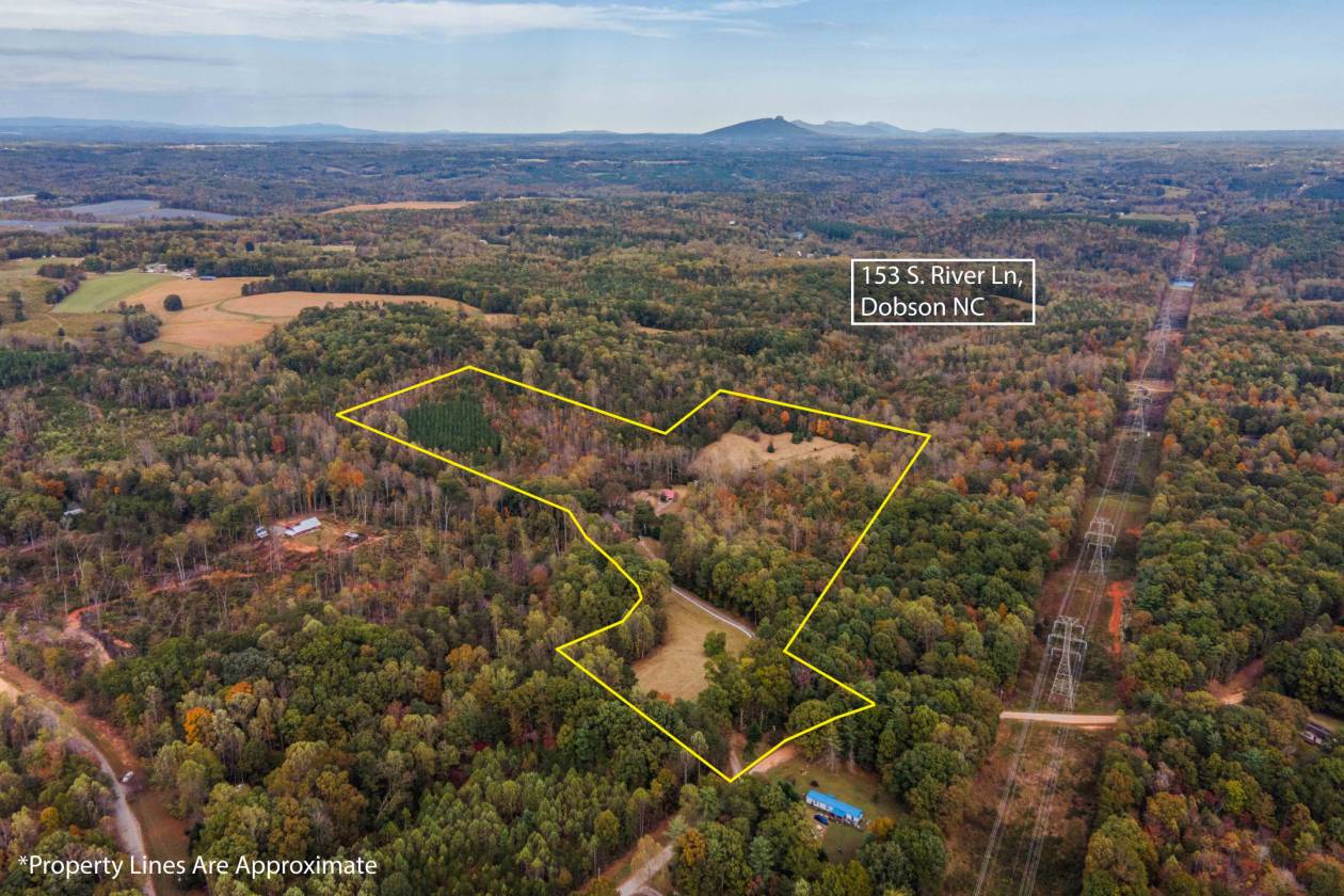 Over 38 Acres Ready for Horses and Priced to Sell! - photo 3