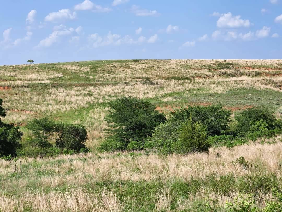 920 acres located in Western Oklahoma Elk City, Beckham County