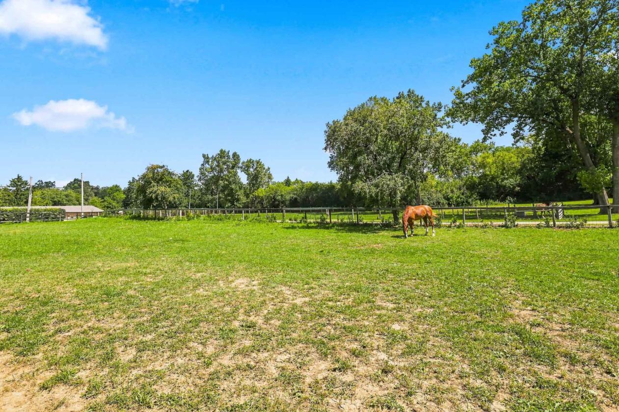 Established Equestrian Estate on 10 Acres - photo 17