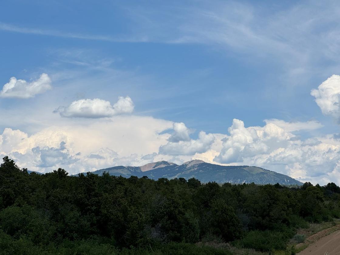 36 Acres of Mountain Land for Your Horses - photo 6