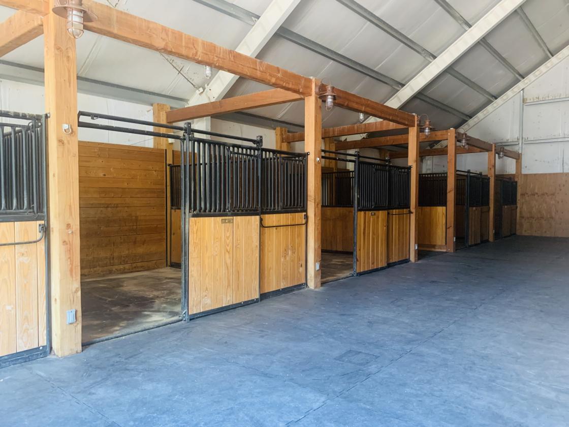 Custom 13.53 Acre Horse Property - photo 9
