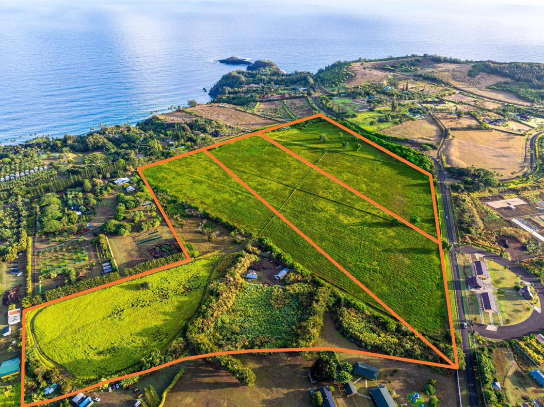 58+ Acres of Prime Land on Kauai's North Shore - photo 4