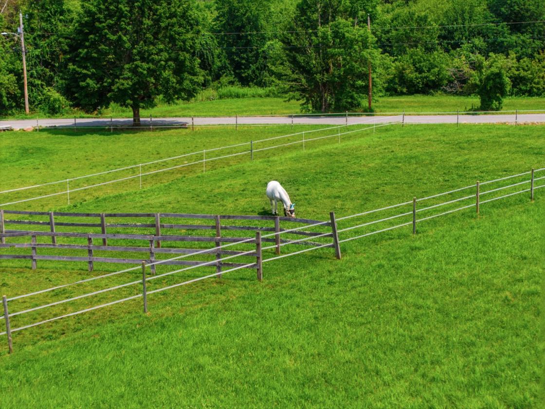 Horse farm with indoor arena & distant views - photo 30