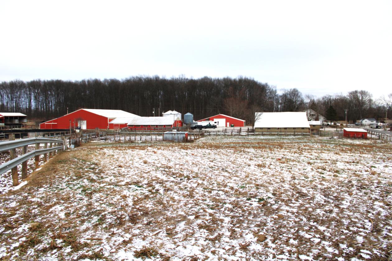 Central Indiana Horse Training & Boarding Facility - photo 26