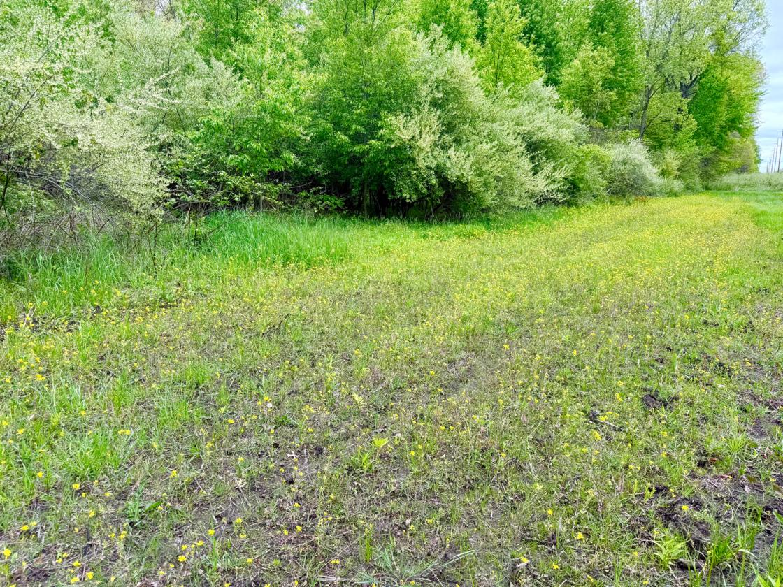 60Acres Equestrian Land with Scenic Trails - photo 18