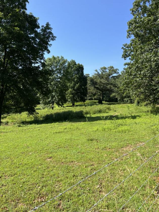 6 ACRES, BRICK RANCH, BARN - photo 11