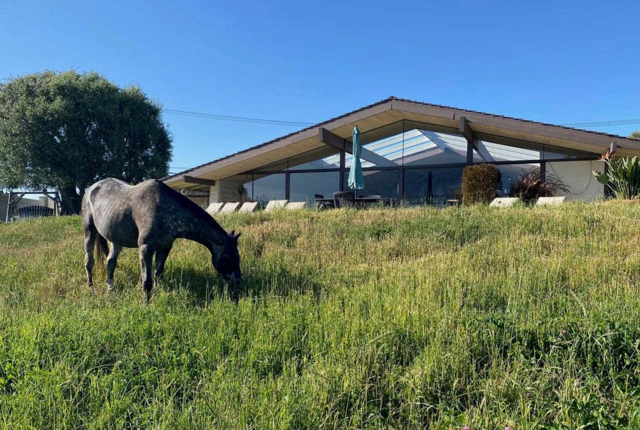 Cliff May Equestrian Property in Los Posas Estates - photo 16
