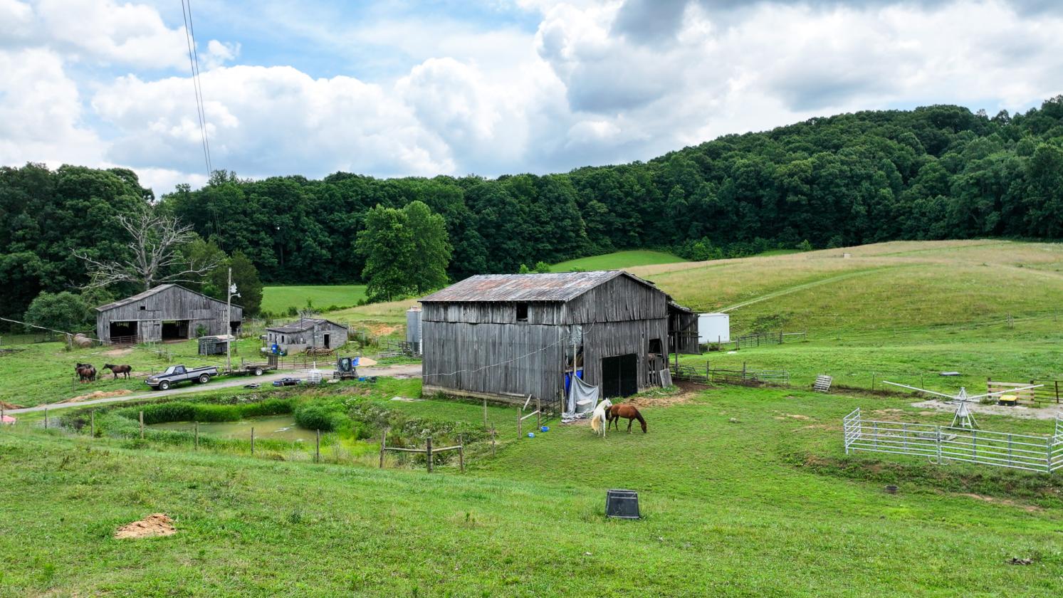 East TN Horse Property with Farmhouse! - photo 20