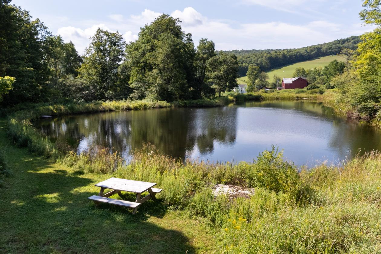Catskill Equestrian Estate on 254 Acres - photo 29