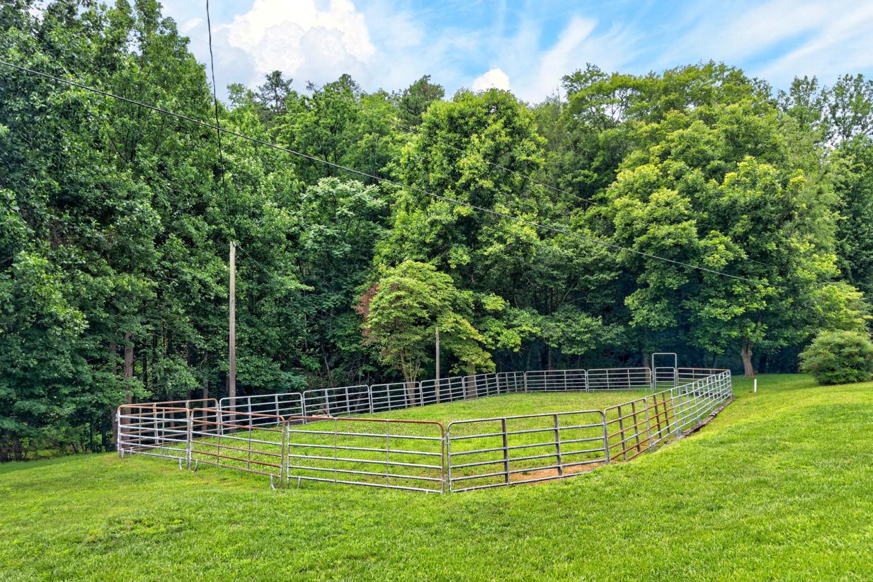 Creekfront Equestrian Estate Bordering Pisgah Forest - photo 3
