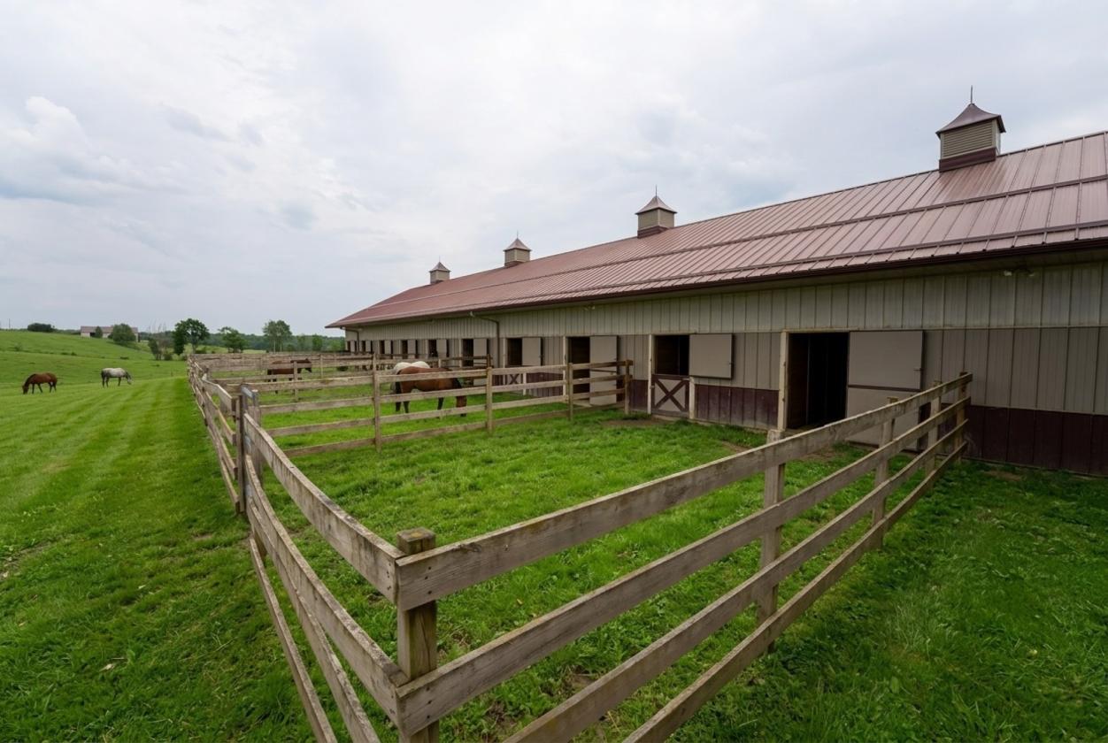 40 Stalls. 103 Acres. One Chance. Serenity Equine - photo 12