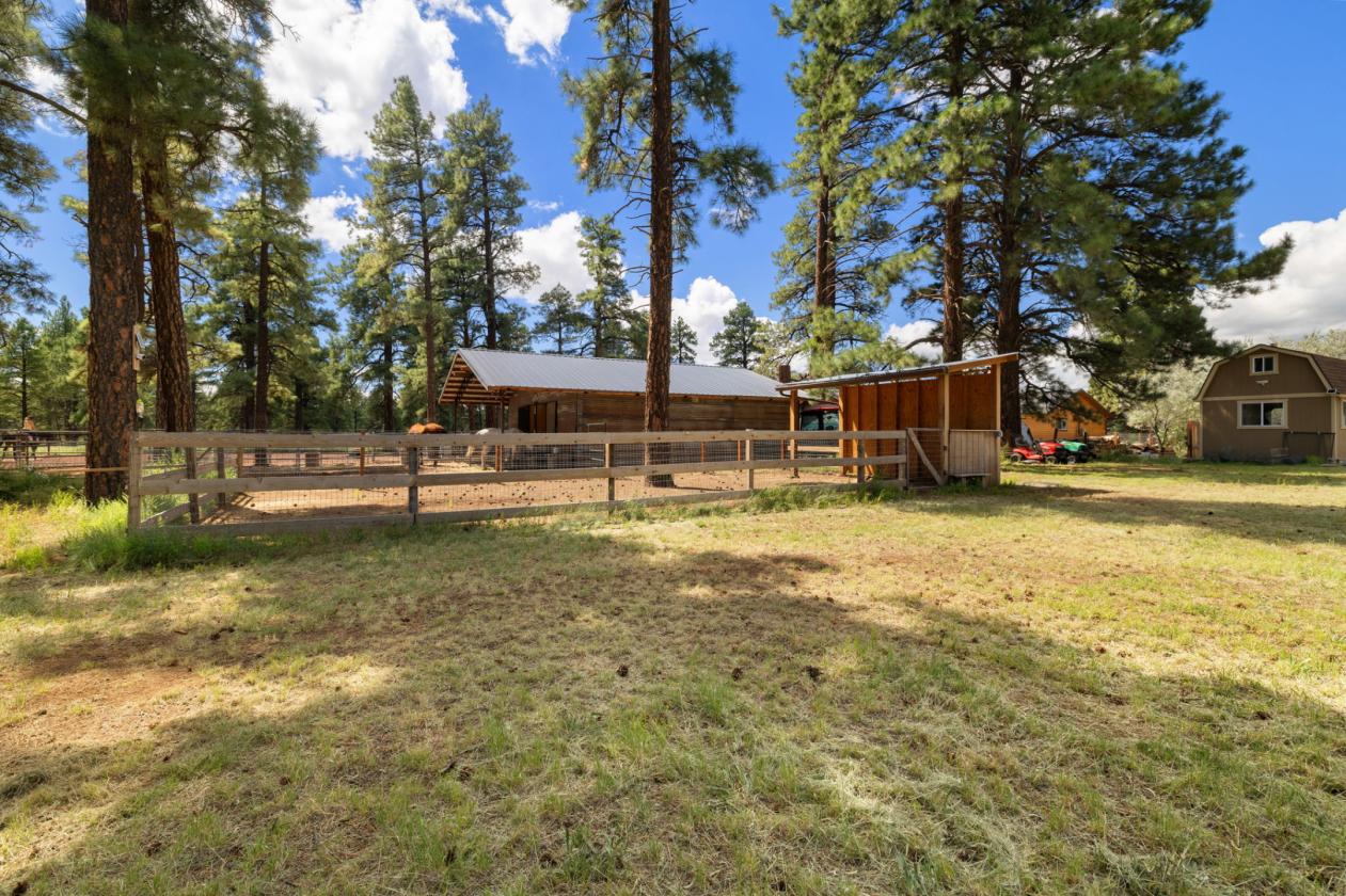 Mountain Ranchette on 1.12 Acres - photo 3