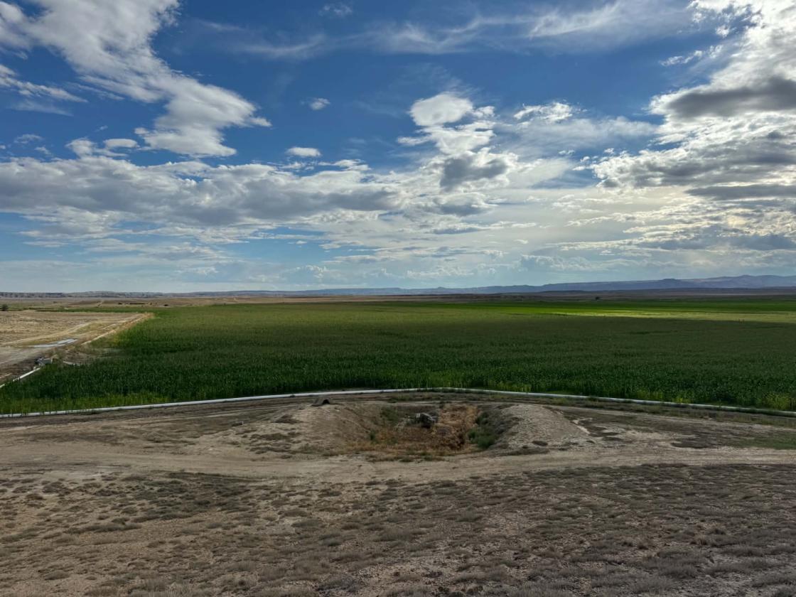 Discover 67± acres of Versatile Land - photo 8
