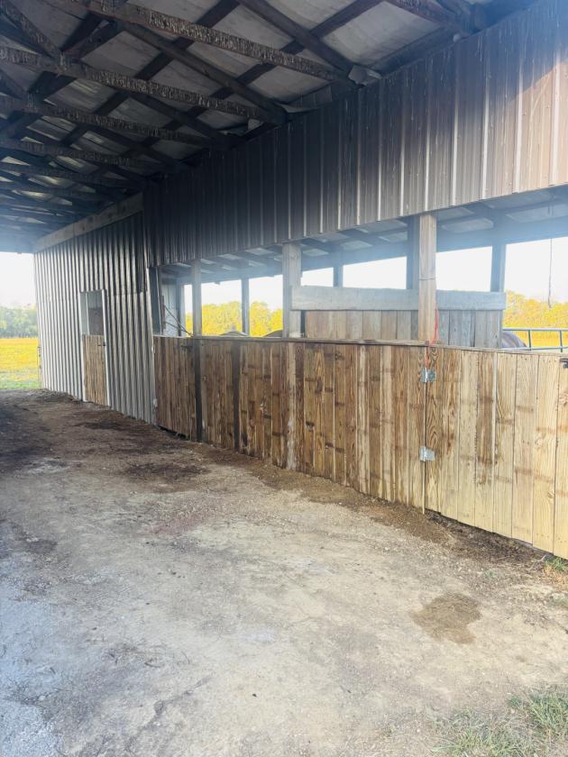 Horse Property Dream - photo 14