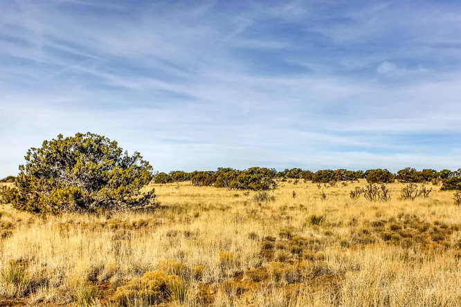 155 VIEW Acres - photo 13