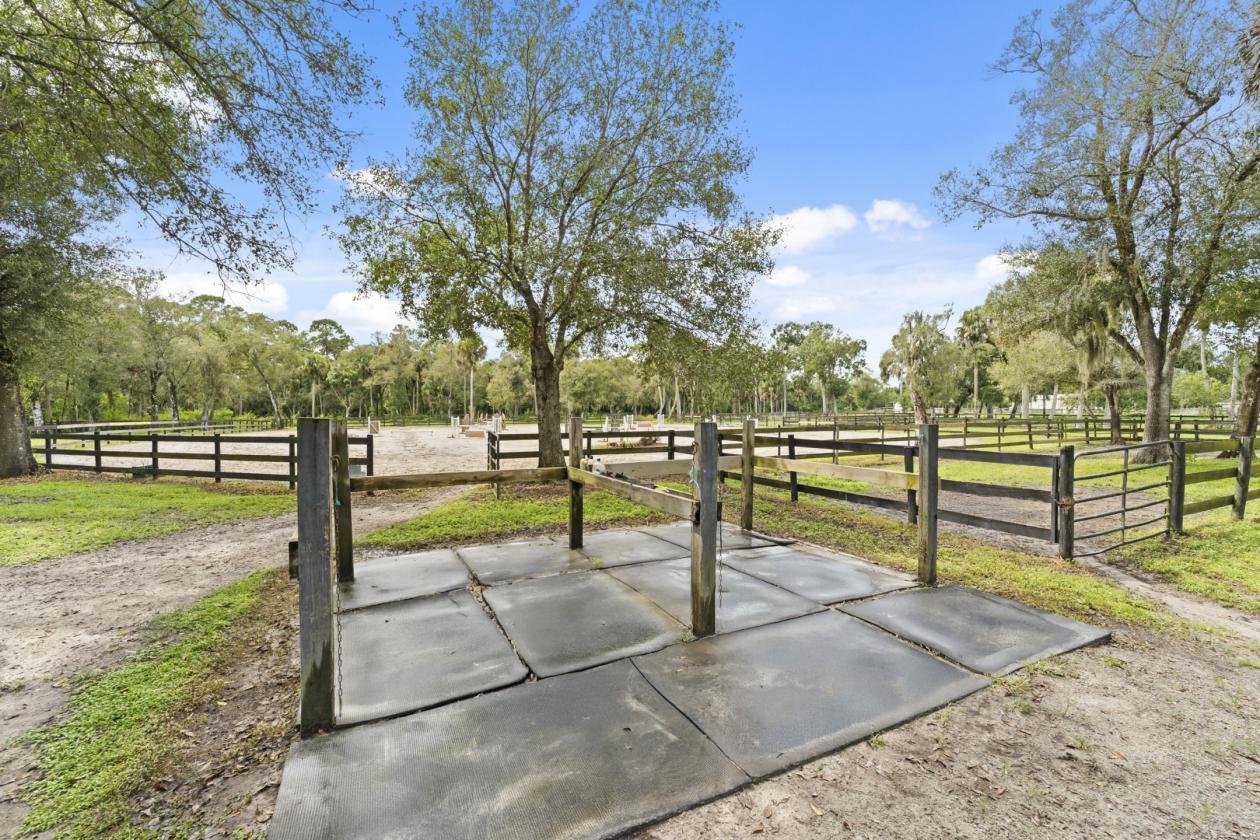 For the Horse Professional - 21 stalls/arena/pool - photo 13