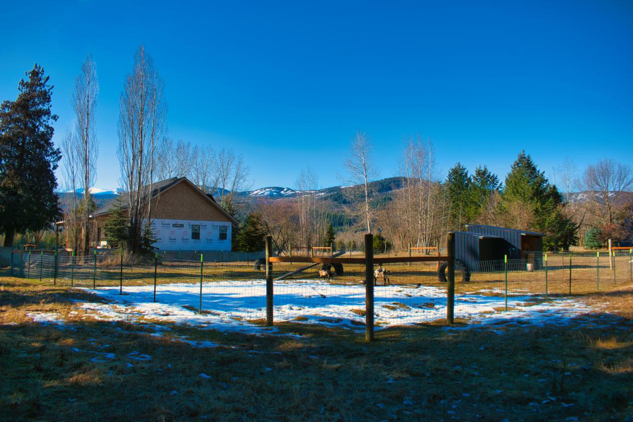 New Luxury equestrian estate with 360 degree views - photo 15
