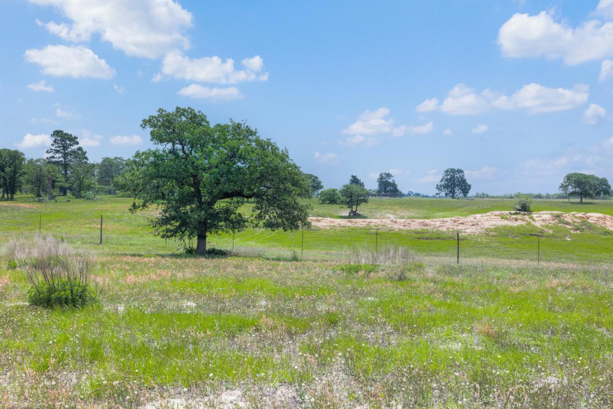 99 Unrestricted acres - photo 19