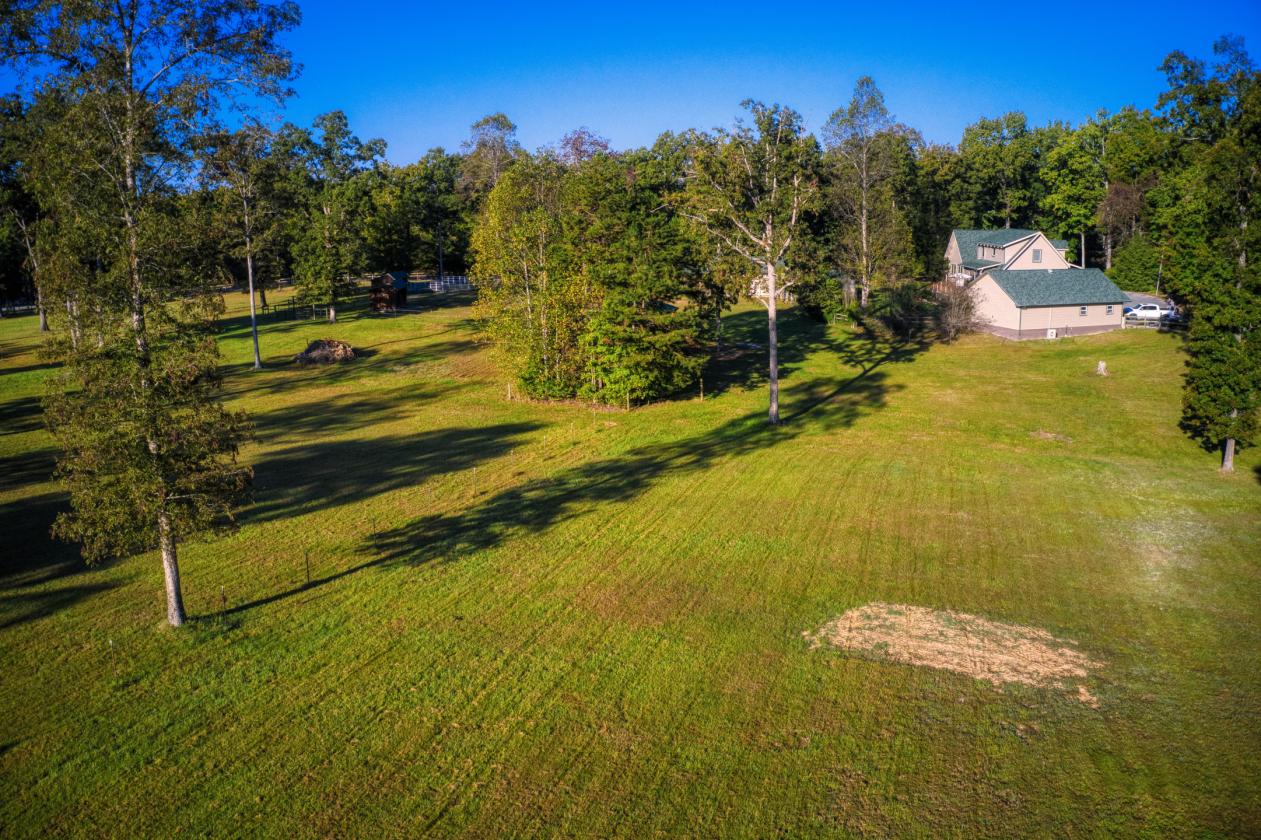 TRUE Honest Abe LOG HOME-9.14 acres - Spruce Creek - photo 4