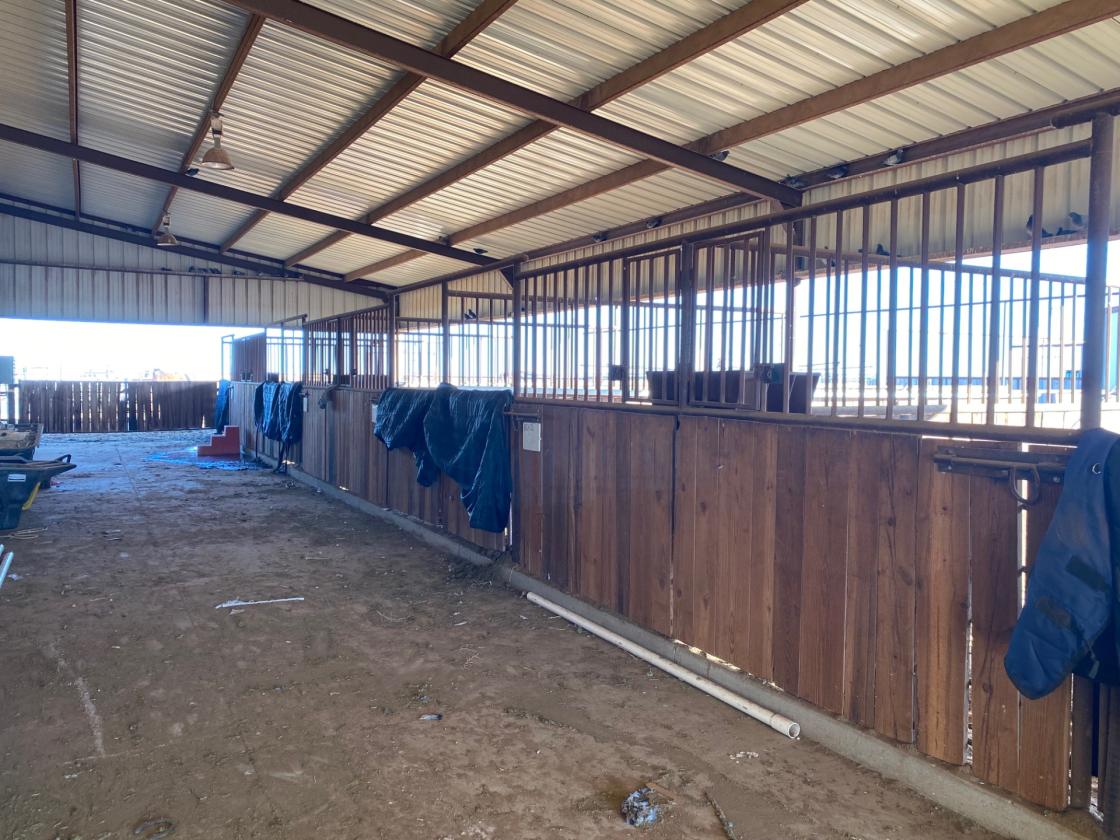 Horse Lover’s Dream - photo 24