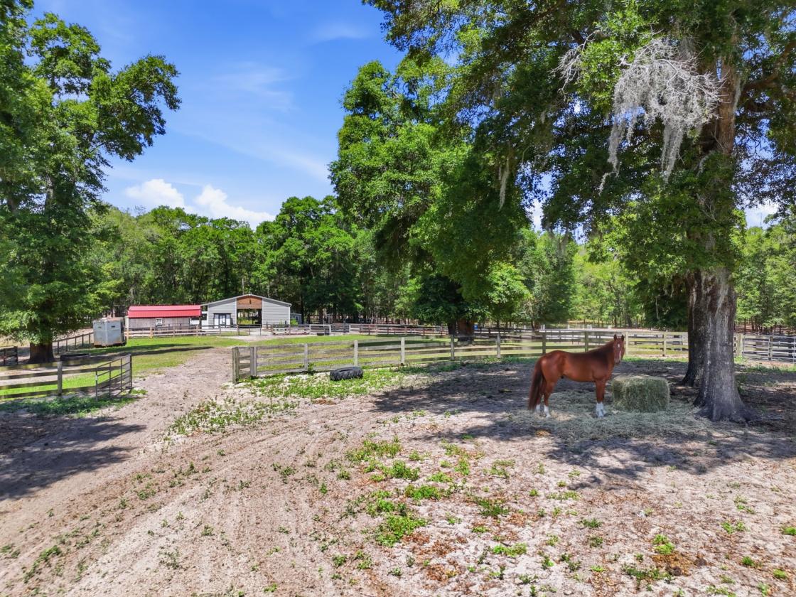 5.89-Acre Farm with 6-Stall Center-Aisle Barn - photo 20