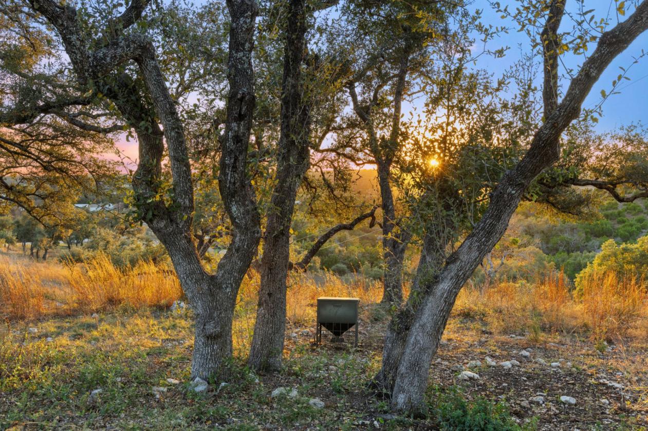 43± AC with Equestrian Barn in Preservation Ranch - photo 25